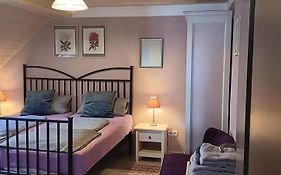 Romantische Ferienwohnung Rheingold 50 Qm Fuer 2 Bis 4 P