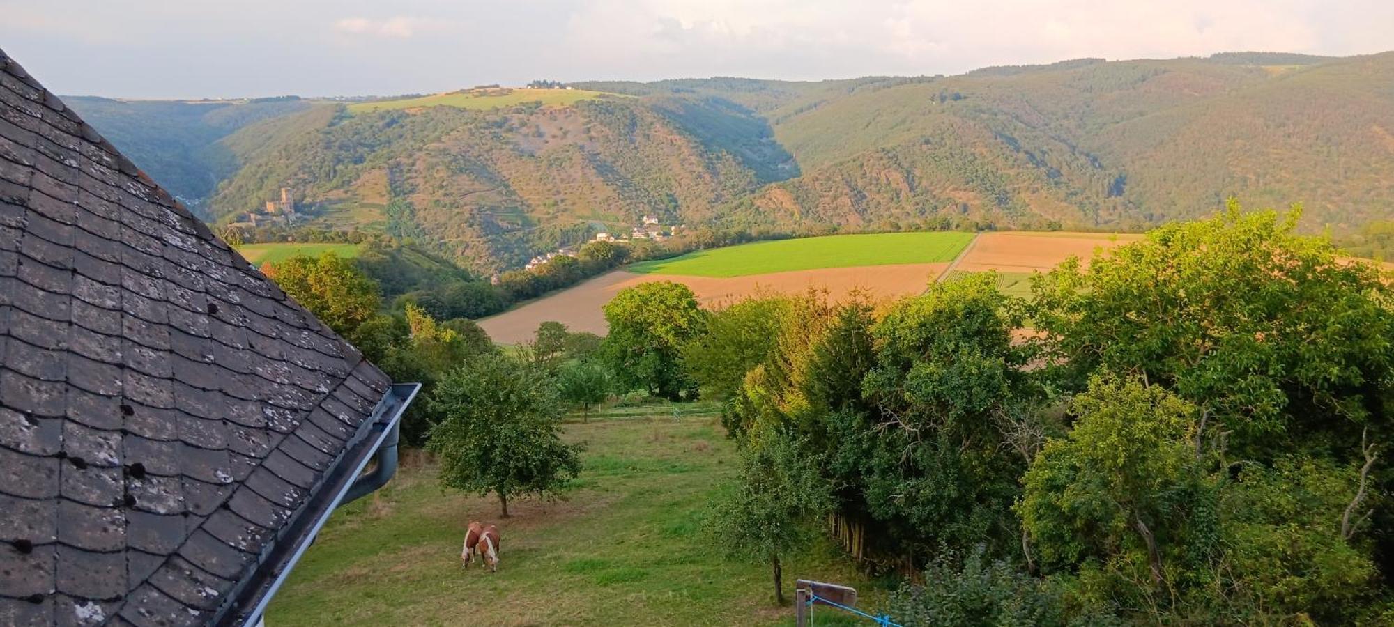 Romantische Ferienwohnung Rheingold 50 Qm Fuer 2 Bis 4 P Bacharach Buitenkant foto